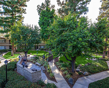 Saddleback Pines Apartment Homes Accent Image